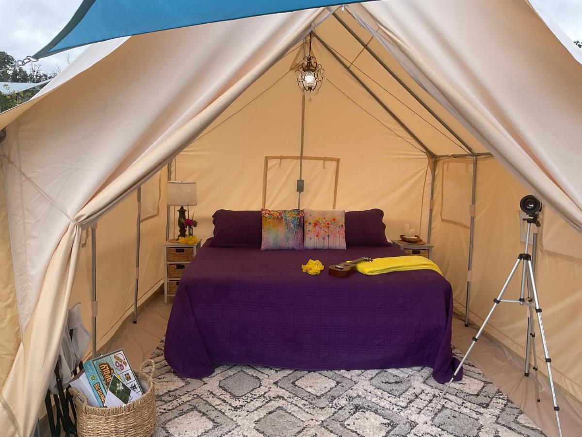 Tiki Cabana Hotel Ocean View Eksteriør billede